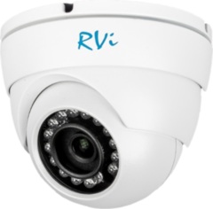 Купольные IP-камеры RVI-IPC31VB (2.8мм)
