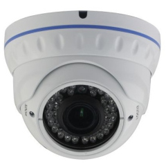 Купольные IP-камеры AltCam IDMV24IR
