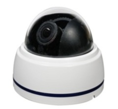 Купольные цветные камеры со встроенным объективом Pinetron PCD-912HT B