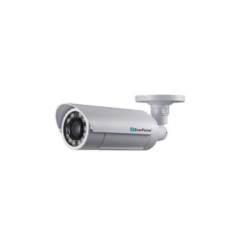 Уличные IP-камеры EverFocus EZN-3261