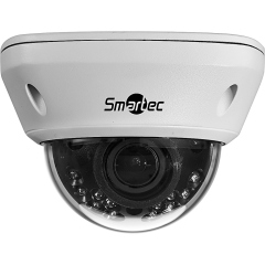 Купольные IP-камеры Smartec STC-IPM5591/1