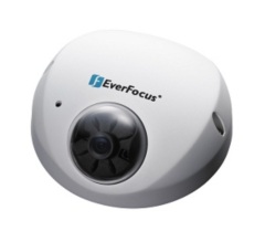 Купольные IP-камеры EverFocus EDN-1320