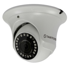 Интернет IP-камеры с облачным сервисом Tantos TSi-Ee20FP (3.6)