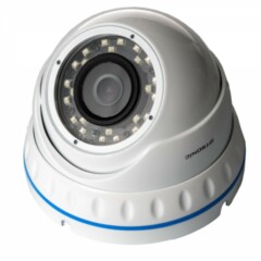 Купольные IP-камеры IPTRONIC IPTS-IPL1920DM(3,6)P