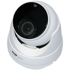 Купольные IP-камеры ComOnyX CO-RD23Pv2