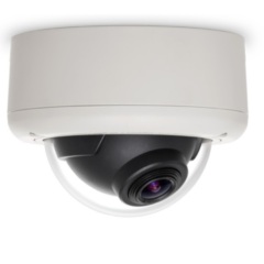 Купольные IP-камеры Arecont Vision AV3146DN-3310-D-LG