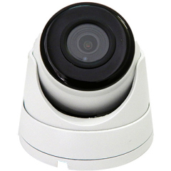 IP-камера  ComOnyX CO-RD51P