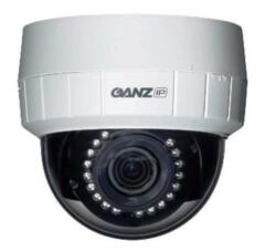 Купольные IP-камеры GANZ ZN-D1MTP-IR