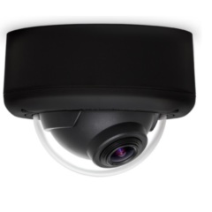 Купольные IP-камеры Arecont Vision AV3146DN-3310-D