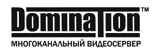 Domination лого