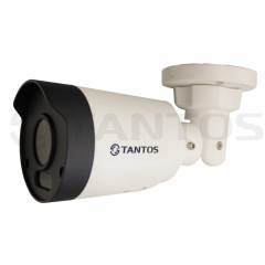 IP-камера  Tantos TSi-P4FP