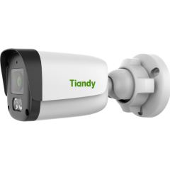 Уличные IP-камеры Tiandy TC-C321N Spec:I3/E/Y/4mm