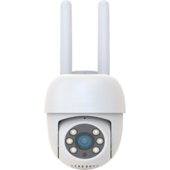 Интернет IP-камеры с облачным сервисом Fox FX-C3SE (Сова)