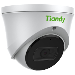 IP-камера  Tiandy TC-C34XS Spec: I3/E/Y/2.8