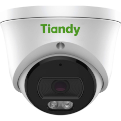 Купольные IP-камеры Tiandy TC-C320N Spec:I3/E/Y/2.8mm