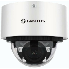 Купольные IP-камеры Tantos TSi-Vn253VZ
