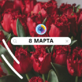 Видеонаблюдение новости: Поздравляем девушек с 8 марта! 