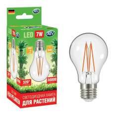 Лампа светодиодная Лампа светодиодная филаментная Агро Филамент (FILAMENT) 7Вт A60 грушевидная E27 320град. для растений REV 32416 4