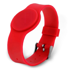 Брелоки Proximity Tantos Smart-браслет TS с застёжкой (красный)