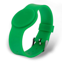 Tantos Smart-браслет TS с застёжкой (зеленый)