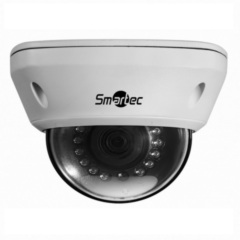 Купольные IP-камеры Smartec STC-IPM5592/1