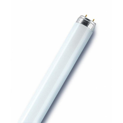 Лампа люминесцентная Лампа люминесцентная L 36W/865 LUMILUX 36Вт T8 6500К G13 смол. OSRAM 4008321581433