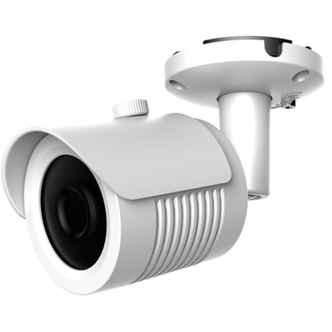 Купить AltCam ICF51IR IP-камера уличная - ВИДЕОГЛАЗ Москва