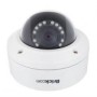 Brickcom VD-100Ap