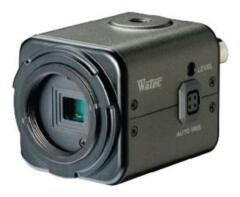 Цветные камеры со сменным объективом Watec Co., Ltd. WAT-233