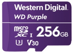Карты памяти Western Digital WDD256G1P0A