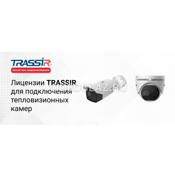 Trassir нет изображения