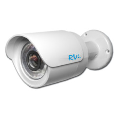 Уличные IP-камеры RVi-IPC41DNS(3.6 мм)
