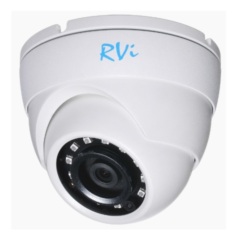 Купольные IP-камеры RVI-IPC31VB (4)