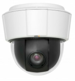 Поворотные IP-камеры AXIS P5534 (0313-002)