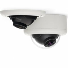 Купольные IP-камеры Arecont Vision AV5245PM-D-LG