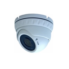 Купольные IP-камеры Master MR-IDNVM104AP