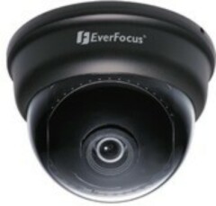 Купольные цветные камеры со встроенным объективом EverFocus EXD-300
