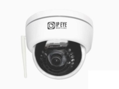 IP-камеры Fisheye "Рыбий глаз" IPEYE D5-SNRW-fisheye-01