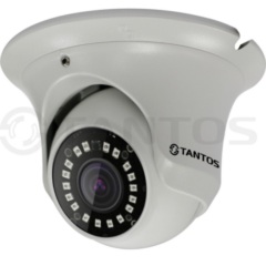 Купольные IP-камеры Tantos TSi-Ee25FP(3.6)
