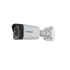 Уличные IP-камеры Geovision EVS-ABL1300