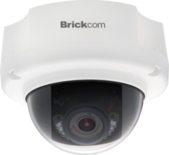 Купольные IP-камеры Brickcom FD-201Af