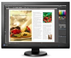 Компьютерные мониторы (LCD, TFT) EIZO-CX240-BK