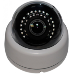 Купольные IP-камеры IPEYE-3831P