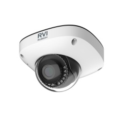Купольные IP-камеры RVi-2NCF5368 (2.8)