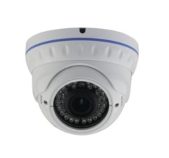 Купольные IP-камеры AltCam IDMV44IR