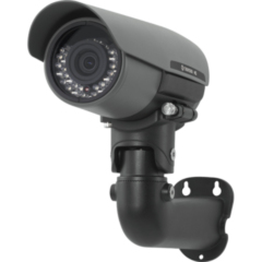 Уличные IP-камеры Etrovision EV8781Q-DD