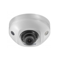 Купольные IP-камеры Hikvision DS-2CD3545FWD-IS (2.8mm)