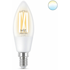 Нет на сайте Лампа WiZ Wi-Fi BLE 40W C35 E14927-65CL1PF/6