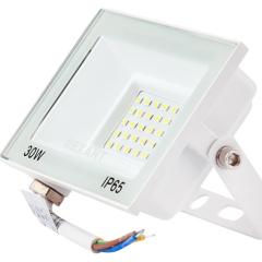 Прожектор светодиодный СДО 30Вт 2400Лм 5000K нейтральный свет, белый корпус REXANT (605-025)