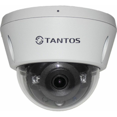 Купольные IP-камеры Tantos TSi-Veco25FP